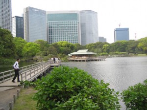 20090507-hamarikyu